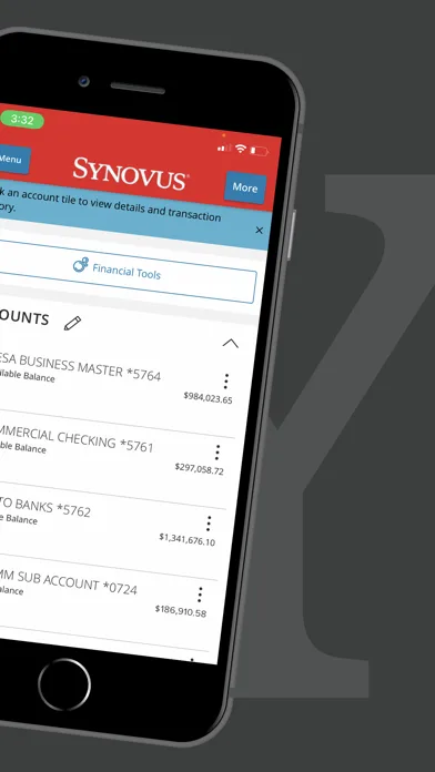 Synovus Gateway Mobile screenshot 2