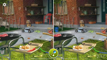 Hidden Differences:Spot & Find screenshot 5