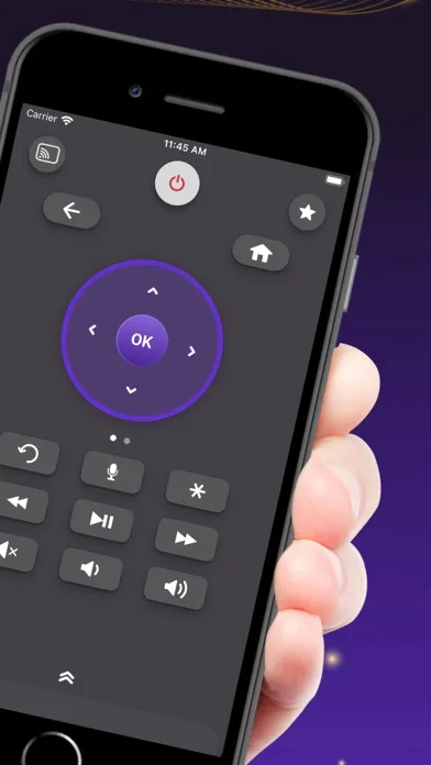 Remote for Roku TV App screenshot 2