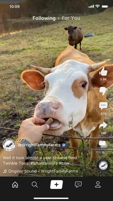 Clapper: Video, Live, Chat screenshot 3