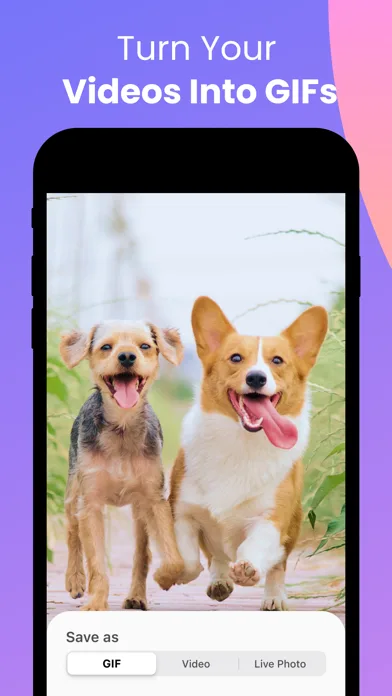 Convert: GIF Maker & Wallpaper screenshot 2