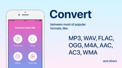 Audio Converter: convert mp3 screenshot 1