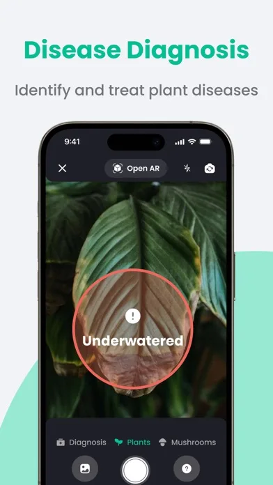 PlantIn: Plant Identifier・Care screenshot 2