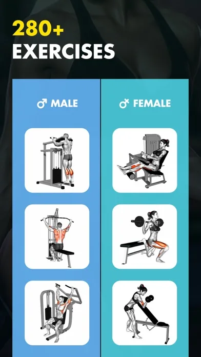 Gym Workout My Fitness Planner screenshot 3