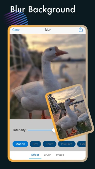 Blur Photo & Background Edit screenshot 2