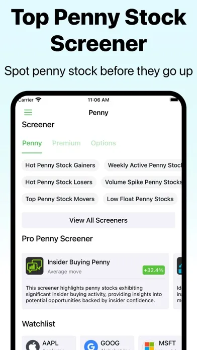 Penny Stocks Screener: AI Scan screenshot 2