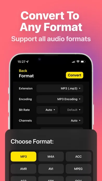 Audio Converter - MP4 to MP3 screenshot 4