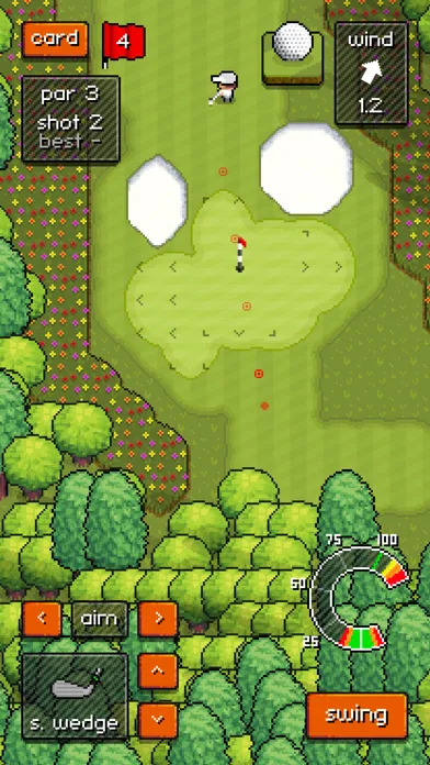 Pixel Pro Golf screenshot 1