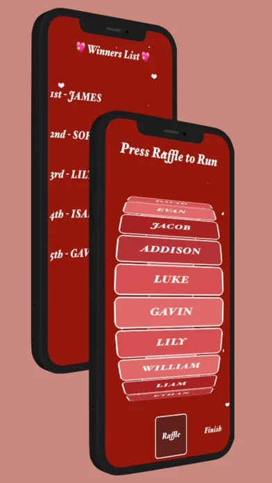Raffle Pro screenshot 3