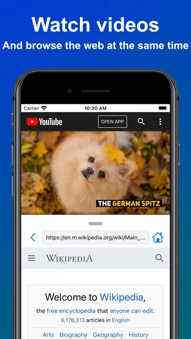Split View Multitasking Screen screenshot 2