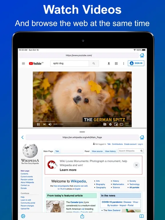 Split View Multitasking Screen screenshot 5