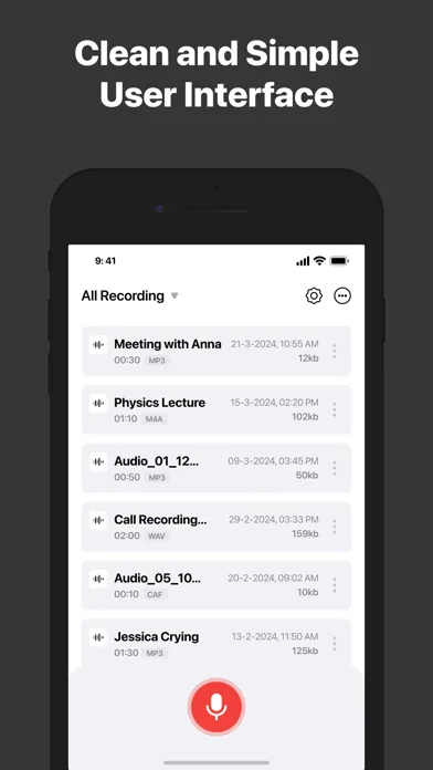 Recorder for iPhone screenshot 2