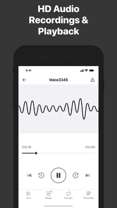 Recorder for iPhone screenshot 3