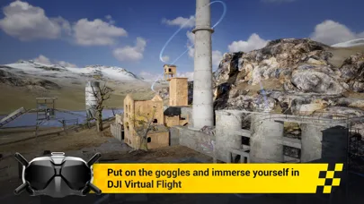 DJI Virtual Flight screenshot 1