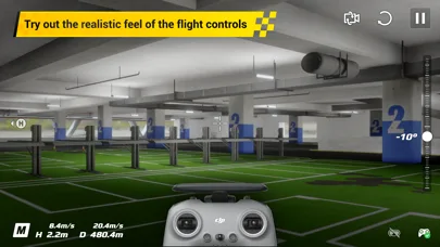 DJI Virtual Flight screenshot 2