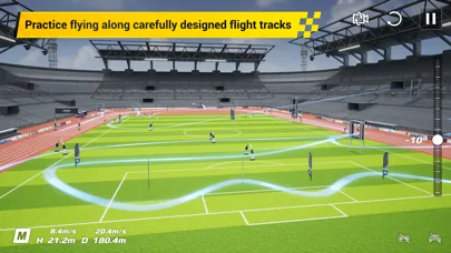 DJI Virtual Flight screenshot 4