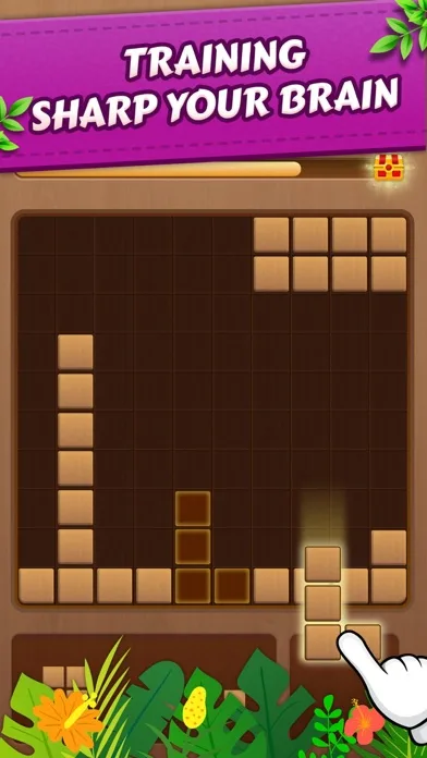 Block Puzzle Woody screenshot 4