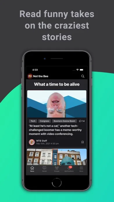 Not the Bee screenshot 1
