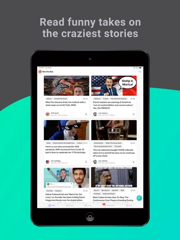 Not the Bee screenshot 5
