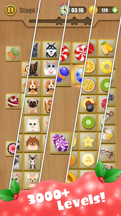 Connect Master Puzzle screenshot 4