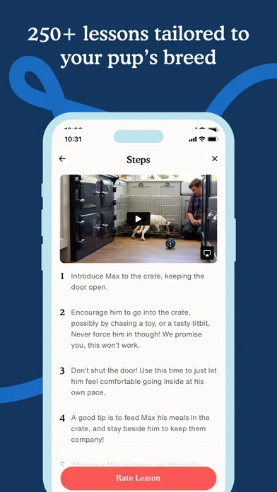 Zigzag - Dog & Puppy Training screenshot 4