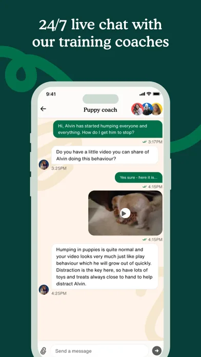 Zigzag - Dog & Puppy Training screenshot 5
