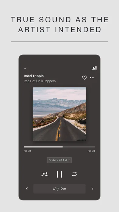 Music | Bowers & Wilkins screenshot 1