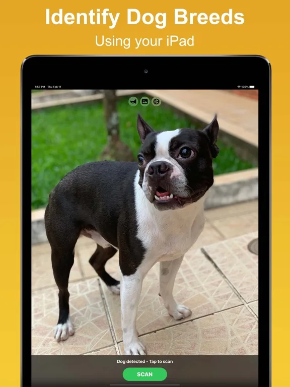 Dog Scan - Breed Identifier screenshot 1
