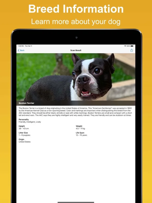 Dog Scan - Breed Identifier screenshot 2