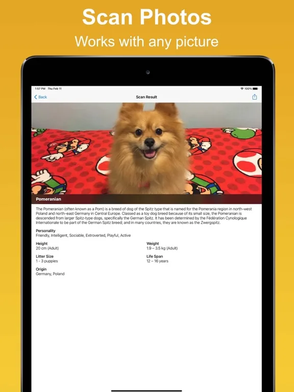 Dog Scan - Breed Identifier screenshot 3