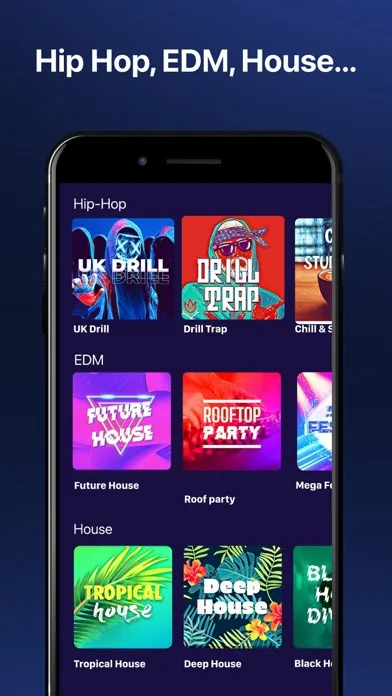 Beat Looper Pro - Music Maker screenshot 2