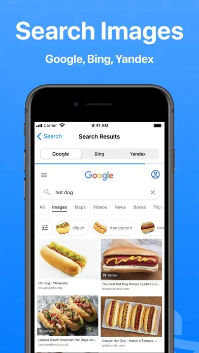 Reverse Image Search + screenshot 1