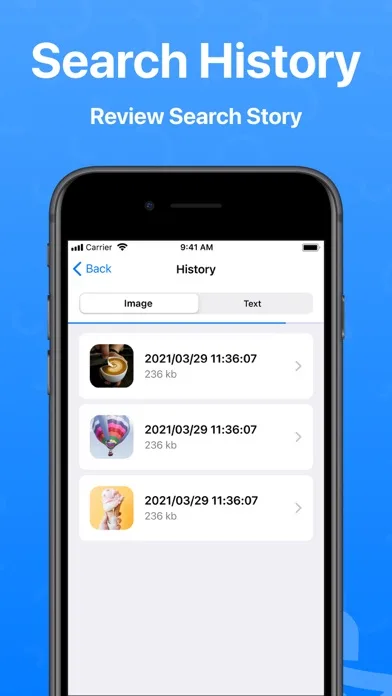 Reverse Image Search + screenshot 3