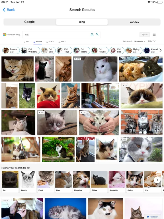 Reverse Image Search + screenshot 4