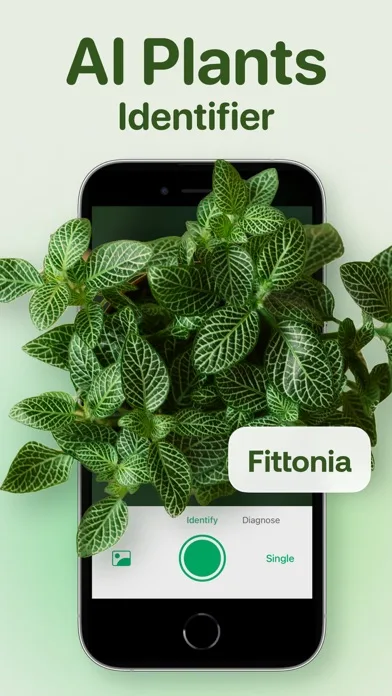 AI Plant Identifier - Plant ID screenshot 1