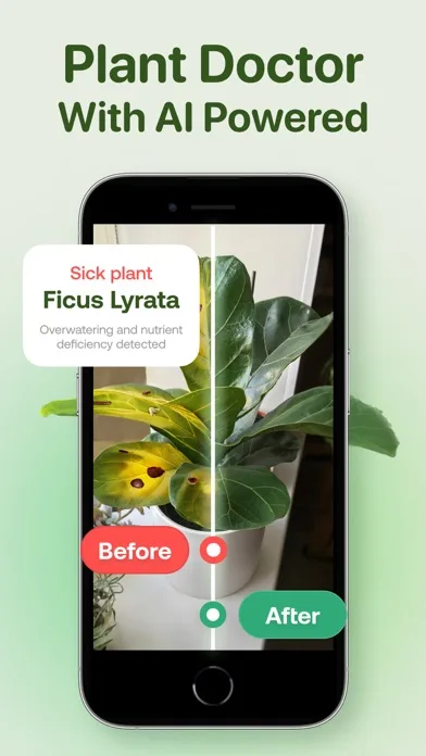 AI Plant Identifier - Plant ID screenshot 3