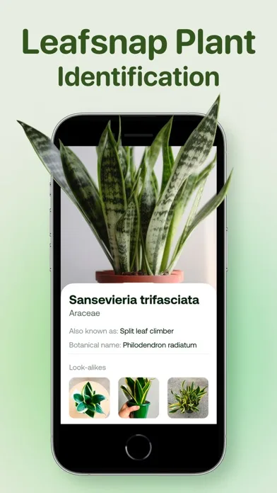 AI Plant Identifier - Plant ID screenshot 4