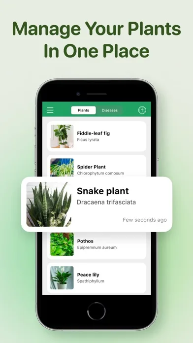AI Plant Identifier - Plant ID screenshot 5