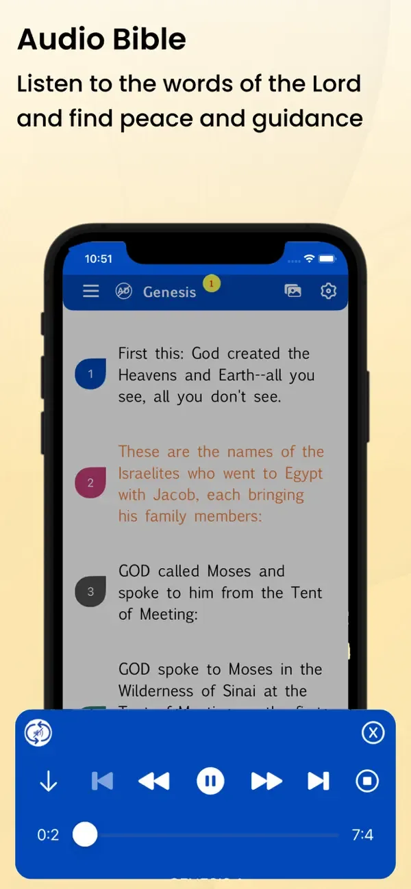 Holy Bible Message Bible (MSG) screenshot 3