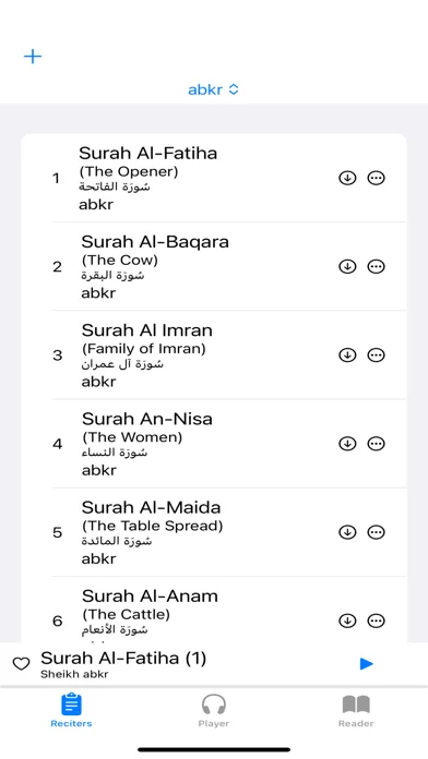 Quran Muallim Minshawi (Child) screenshot 3