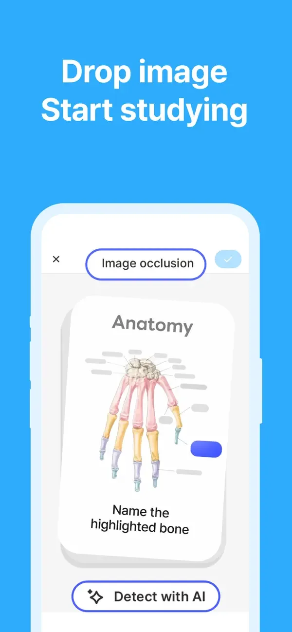 Noji - Flashcards & Vocabulary screenshot 2