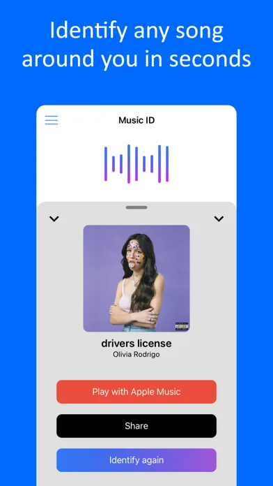 Music Identifier ‣ Find Songs screenshot 1