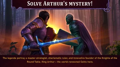 Hidden Expedition: King's Line screenshot 3
