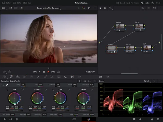 DaVinci Resolve for iPad screenshot 3