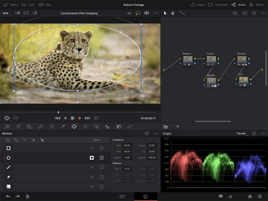 DaVinci Resolve for iPad screenshot 5