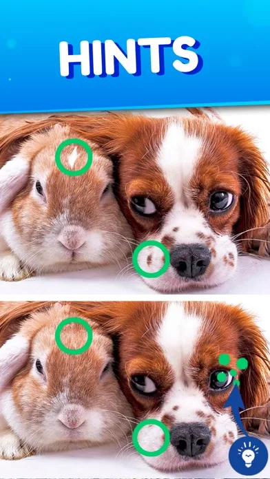 Find the differences 2025 screenshot 5