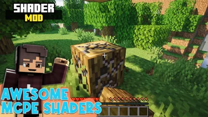 Shader Mods for Minecraft PE screenshot 1