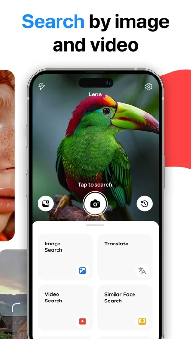 Lens: Translate & Image Search screenshot 2