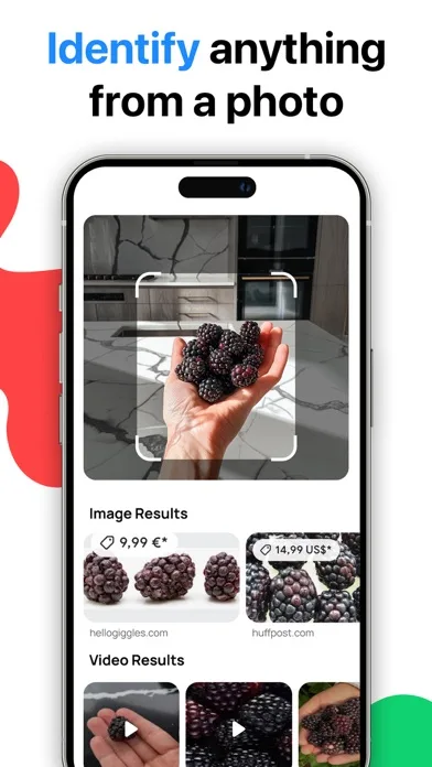 Lens: Translate & Image Search screenshot 3
