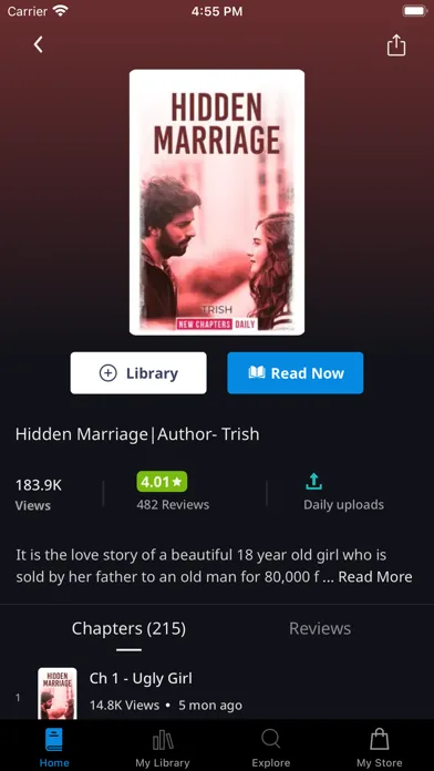 Pocket Novel screenshot 2
